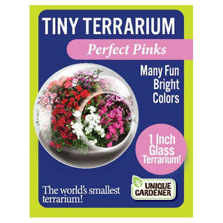 Tiny Terrarium Flowering Plants - Perfect Pinks