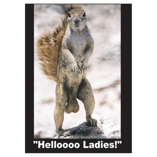 Kalan Hello Ladies Jumbo Magnet