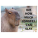 IDK How Much Longer I Can Slay Capybara