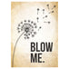 Blow Me