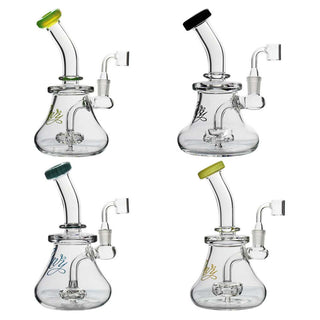 Envy 163 7 Lifesaver Dab Rig